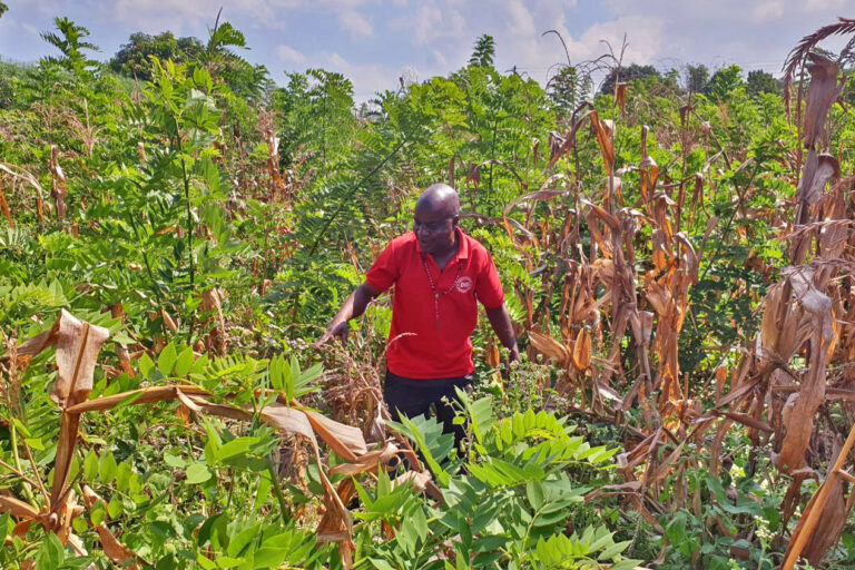 Tana is his field.