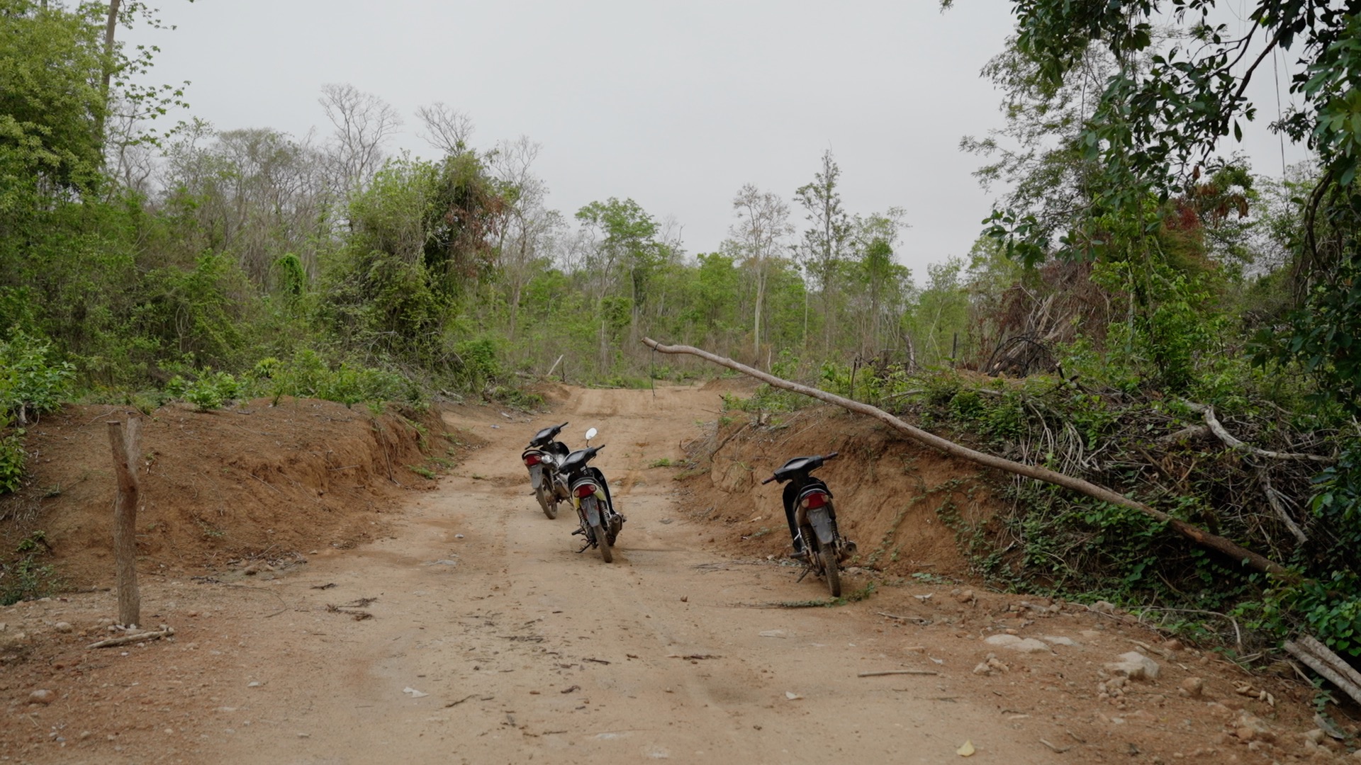 Long took reporters to see a checkpoint that is typically managed by Think Biotech's security team to control the flow of illegally logged timber from Prey Lang Wildlife Sanctuary into the company's concession. It was temporarily abandoned during the gendarmerie-led crackdown. Image by Chasing Deforestation / Mongabay.