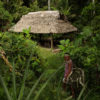 Kanamari Indigenous people carry out their work