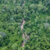 A path is cut deep into the core zone of Keo Seima Wildlife Sanctuary in Cambodia's Mondulkiri province following the government's approval of a new mining license in the protected forest. Photo by Gerald Flynn/Mongabay.