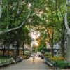 Washington Square Park is another place to see birds in NYC.