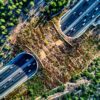 A wildlife crossing over Highway 1 in Israel. Image by Hagai Agmon-Snir via Wikimedia Commons (CC BY-SA 4.0).