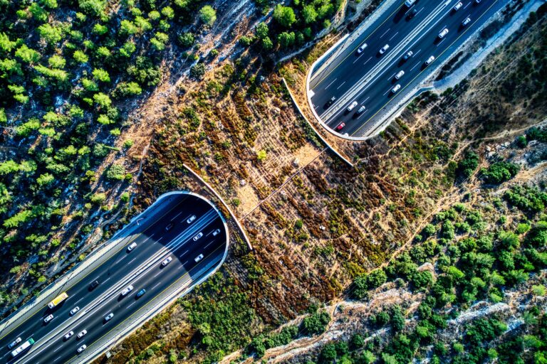 A wildlife crossing over Highway 1 in Israel. Image by Hagai Agmon-Snir via Wikimedia Commons (CC BY-SA 4.0).
