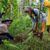 Women from the Maju Bersama KPPL plant ginger flowers